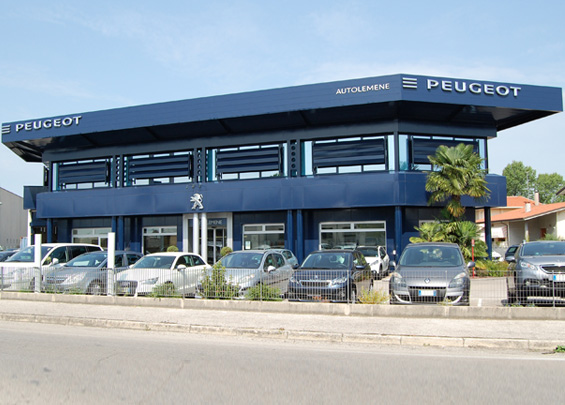 Concessionaria Autolemene Concordia S.(VE) - Peugeot Officina - Meccanico